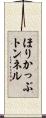 ほりかっぷトンネル Scroll