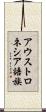 アウストロネシア語族 Scroll