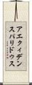 アエクィデンスパリドゥス Scroll