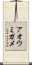 アオウミガメ Scroll
