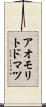 アオモリトドマツ Scroll