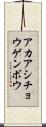 アカアシチョウゲンボウ Scroll
