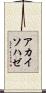 アカイソハゼ Scroll