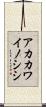 アカカワイノシシ Scroll