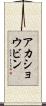 アカショウビン Scroll