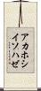 アカホシイソハゼ Scroll