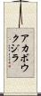 アカボウクジラ Scroll