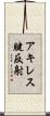 アキレス腱反射 Scroll