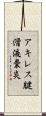 アキレス腱滑液嚢炎 Scroll
