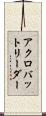 アクロバットリーダー Scroll
