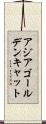 アジアゴールデンキャット Scroll