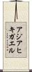 アジアヒキガエル Scroll