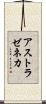 アストラゼネカ Scroll