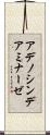 アデノシン・デアミナーゼ Scroll