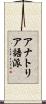 アナトリア語派 Scroll