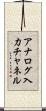 アナログ入力チャネル Scroll