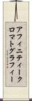 アフィニティークロマトグラフィー Scroll