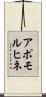 アポモルヒネ Scroll