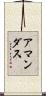 Amandus Scroll