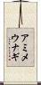 アミメウナギ Scroll