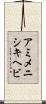アミメニシキヘビ Scroll