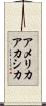 アメリカアカシカ Scroll