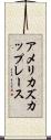 アメリカズ・カップ・レース Scroll