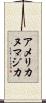 アメリカヌマジカ Scroll