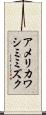 アメリカワシミミズク Scroll