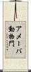 アメーバ動物門 Scroll