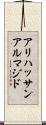 アリハッサンアルマジド Scroll