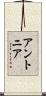 Antonia Scroll