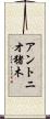 アントニオ猪木 Scroll