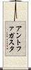 アントファガスタ Scroll