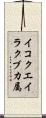 イコクエイラクブカ属 Scroll