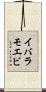 イバラモエビ Scroll
