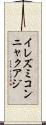 イレズミコンニャクアジ Scroll