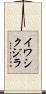 イワシクジラ Scroll