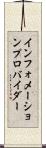 インフォメーション・プロバイダー Scroll