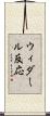 ウィダール反応 Scroll