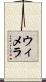 ウィメラ Scroll