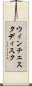 ウィンチェスタ・ディスク Scroll