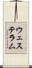 ウェステラム Scroll