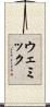 ウェミック Scroll