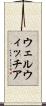 ウェルウィッチア Scroll