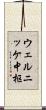 ウェルニッケ中枢 Scroll