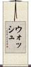 Wash Scroll