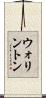 ウォリントン Scroll