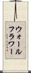 ウォールフラワー Scroll