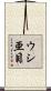 ウシ亜目 Scroll